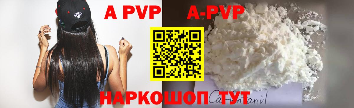 APVP СК Шатура
