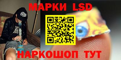 гидра Будённовск